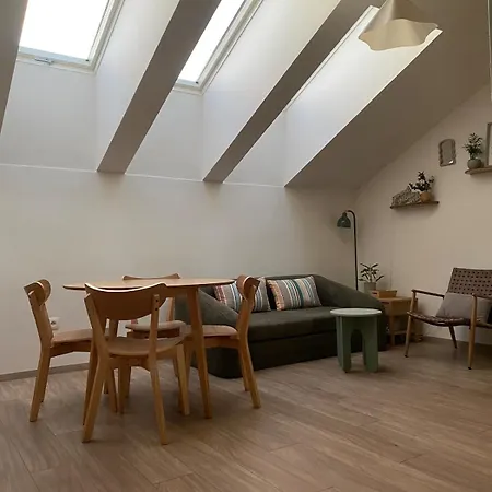 Loft V Cetre Mesta S Parkovacim Miestom *